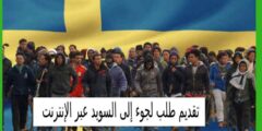 تقديم طلب لجوء إلى السويد عبر الإنترنت